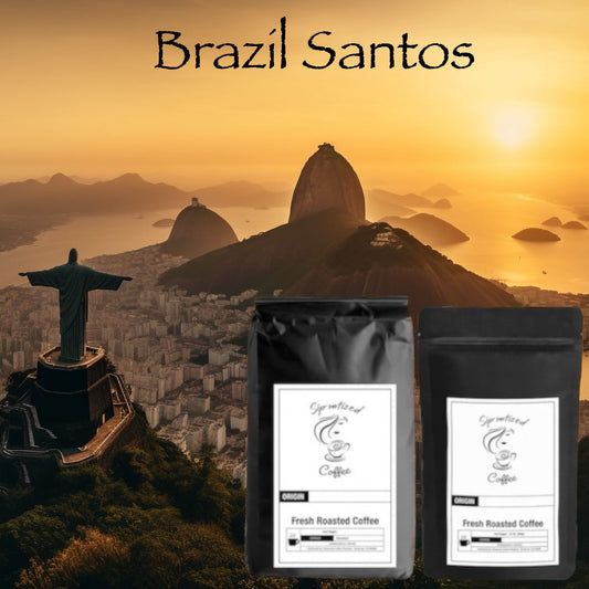 Brazil Santos